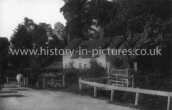 Hobbs Cross Road, Harlow, Essex. c.1920
